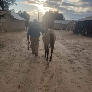 Meet your Posher, Scott